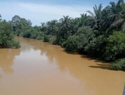 Tambang Emas Ilegal Keruhkan Sungai Batahan, Warga Madina Desak Pemerintah Bertindak