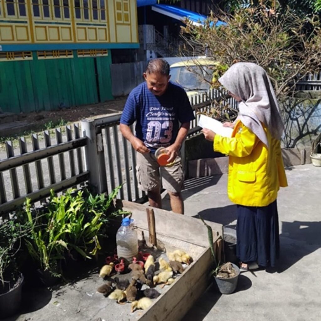 Usaha Ternak Bebek di Desa Meranjat I Mulai Tunjukkan Potensi Ekonomi, Mahasiswa UNSRI Nilai Berpeluang Dongkrak Ekonomi Warga