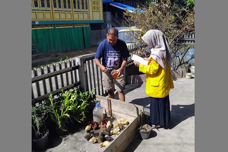 Usaha Ternak Bebek di Desa Meranjat