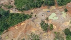 WALHI Sumut Desak Penindakan Tambang Ilegal, Aparat Diminta Bidik Pemodal