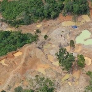 WALHI Sumut Desak Penindakan Tambang Ilegal, Aparat Diminta Bidik Pemodal