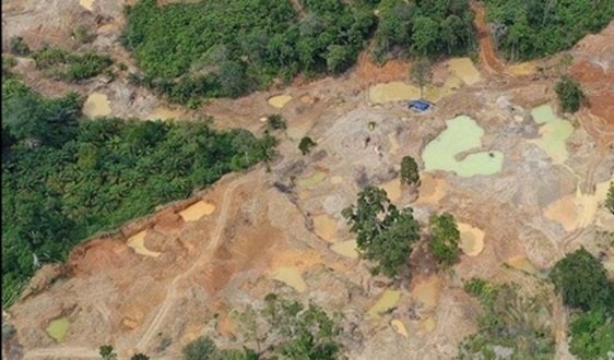 WALHI Sumut Desak Penindakan Tambang Ilegal, Aparat Diminta Bidik Pemodal